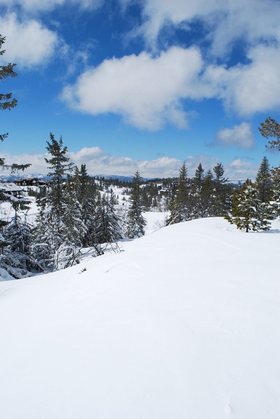 Selgers egne bilder Galleribilde