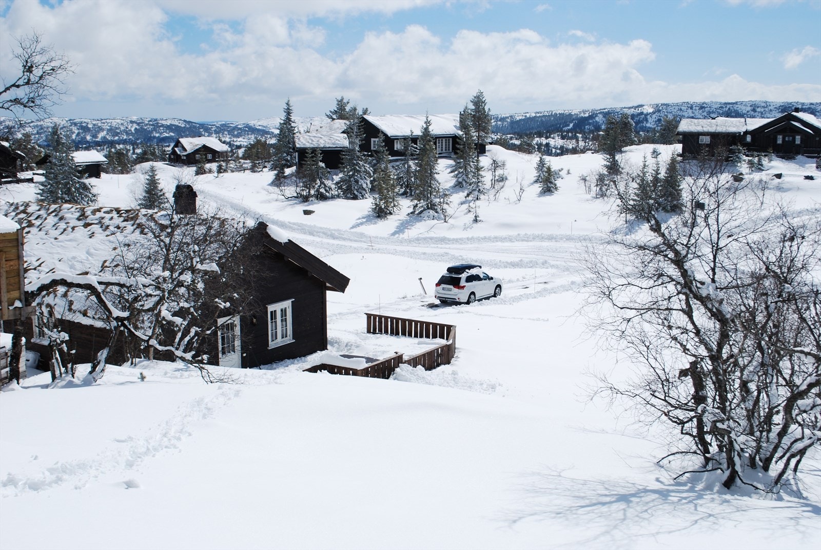 Selgers egne bilder Galleribilde