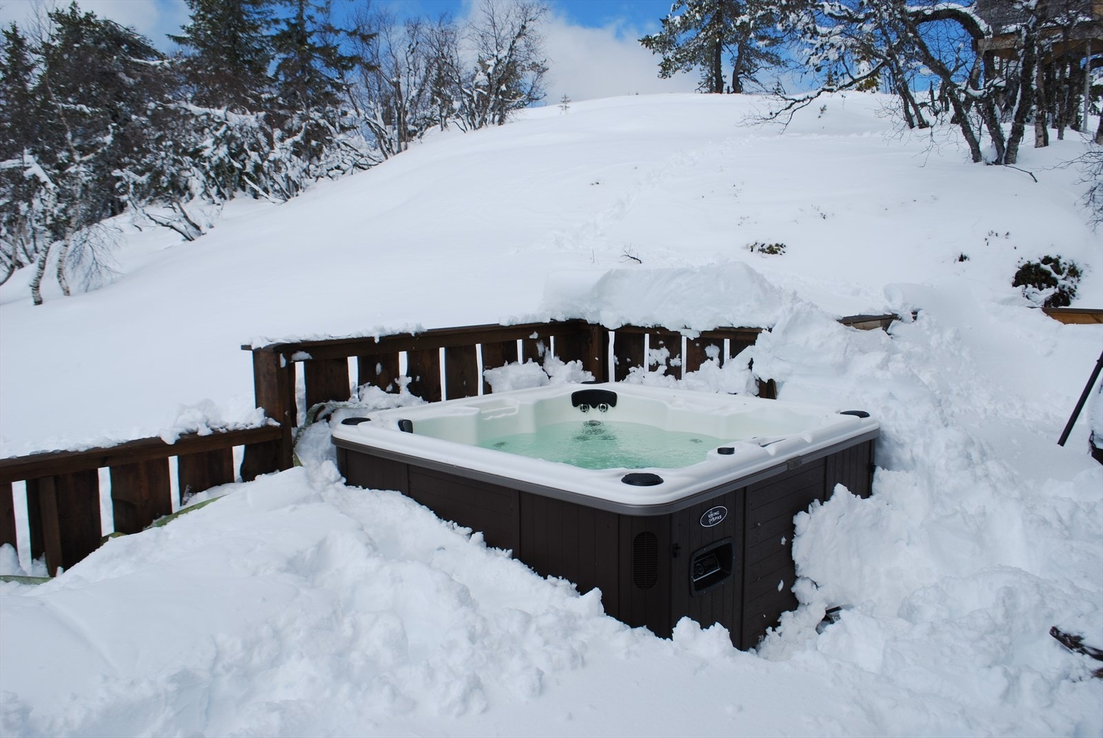 Selgers egne bilder Galleribilde