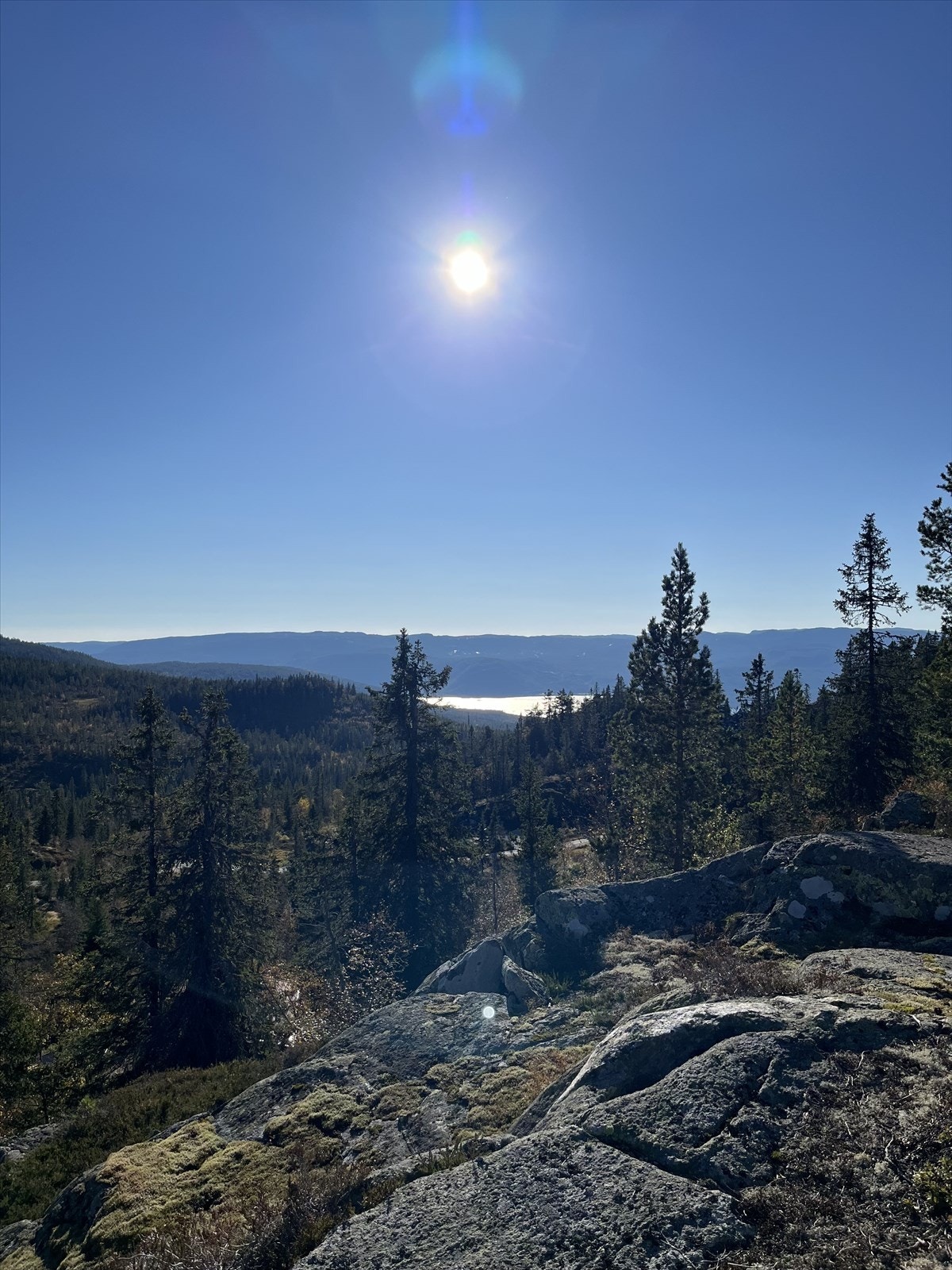 Selgers eget bilde. Galleribilde