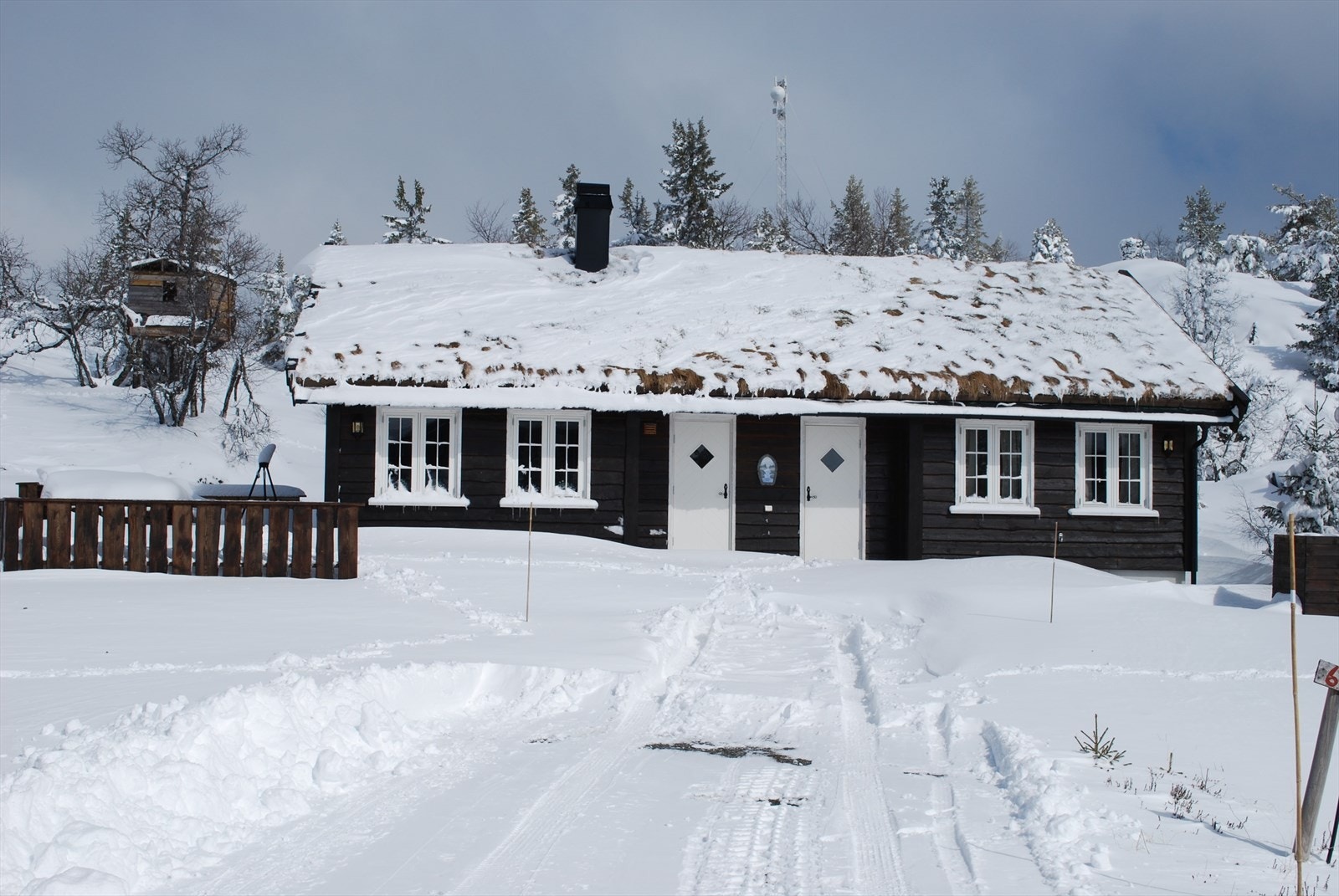 Selgers egne bilder Galleribilde