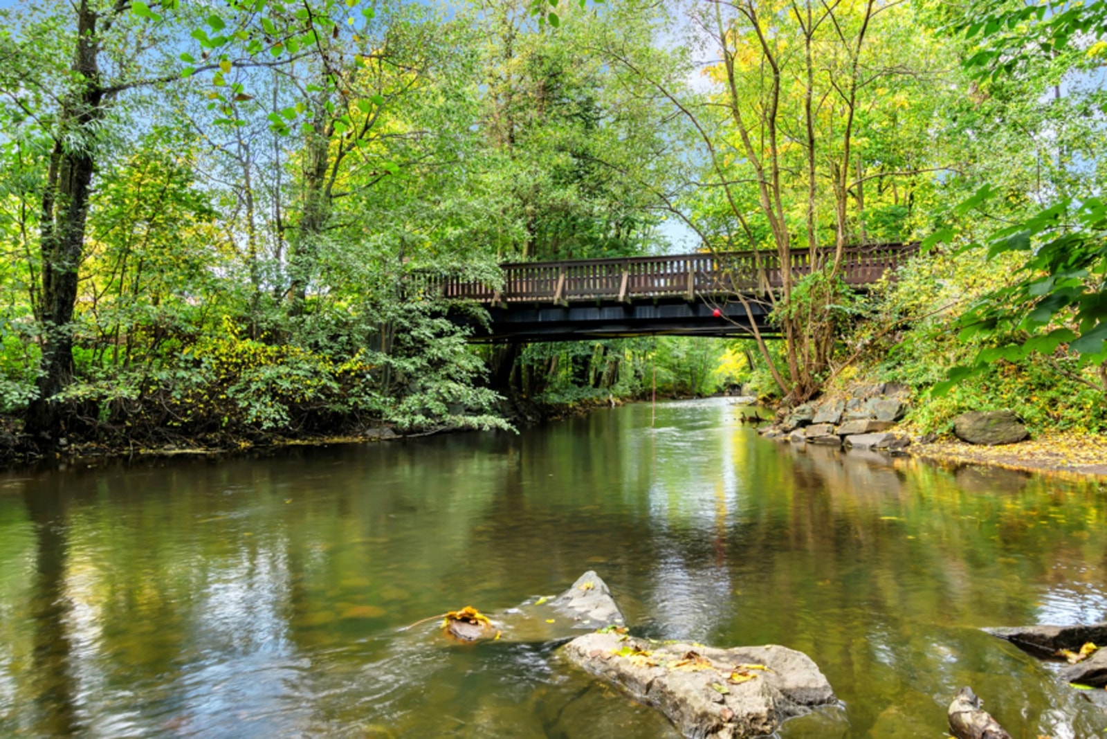 Elven kan benyttes til både bading (Nydalsdammen) og fisking. Galleribilde