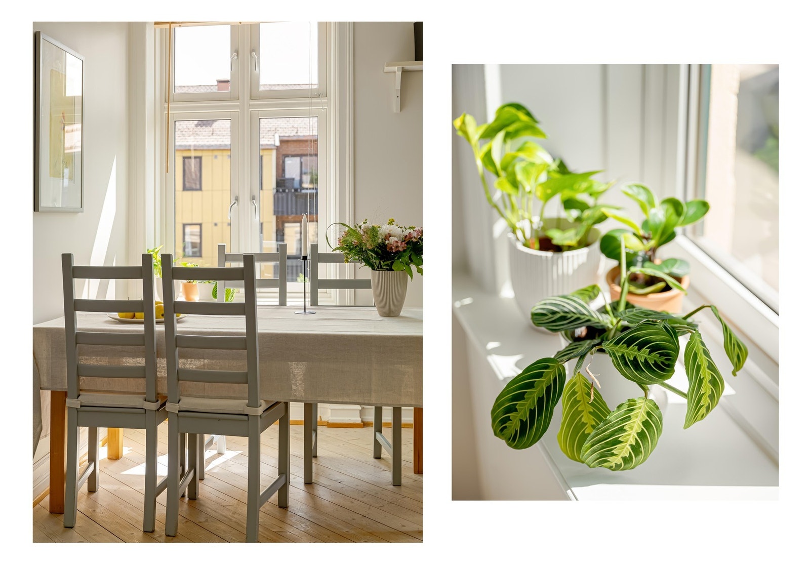 Lysinnslippet er virkelig noe for seg selv, som er naturlig når stuen er sydvendt. Galleribilde