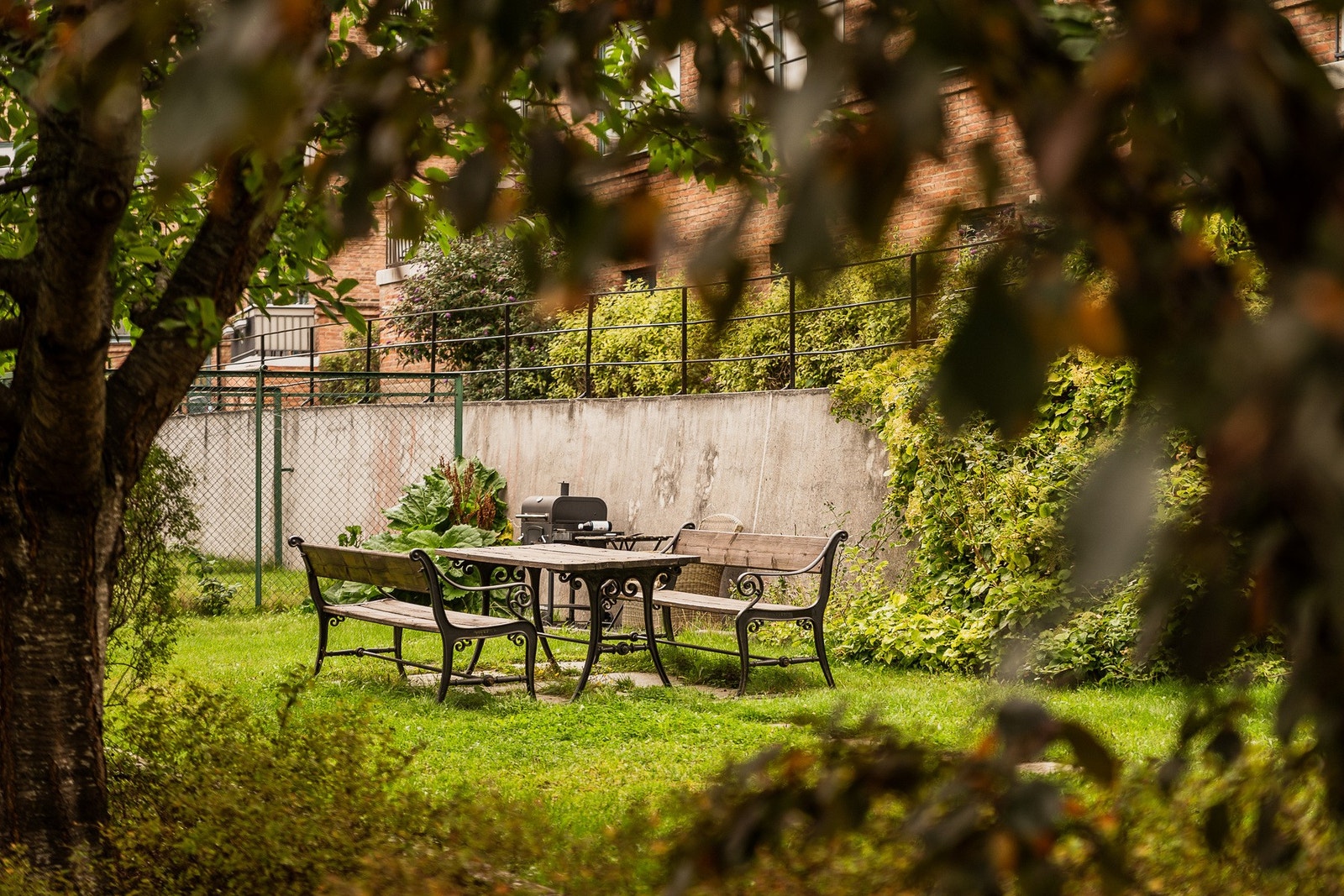 Frodig og fin bakgård. Galleribilde
