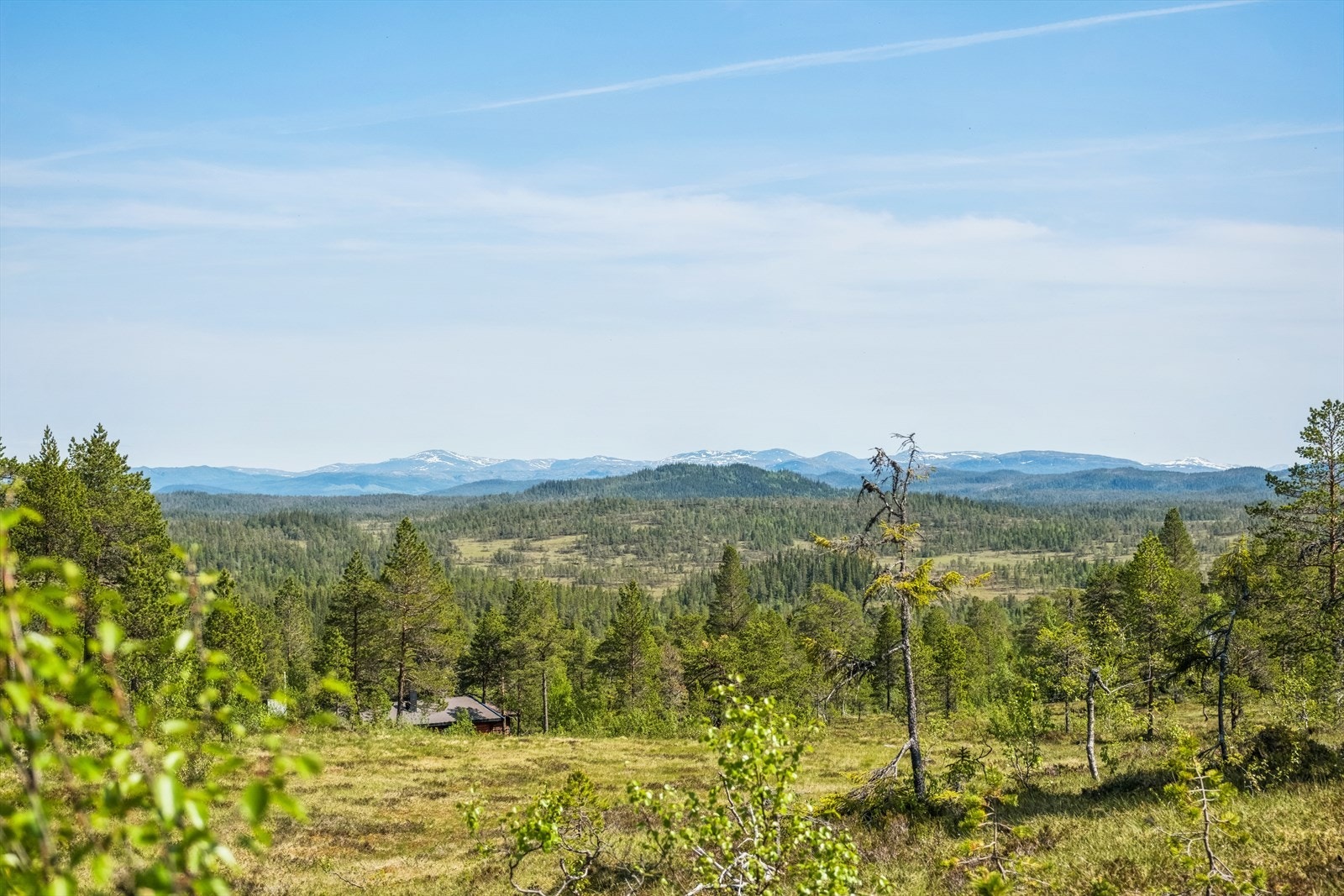 Nydelig utsikt mot Skjækerfjella Galleribilde