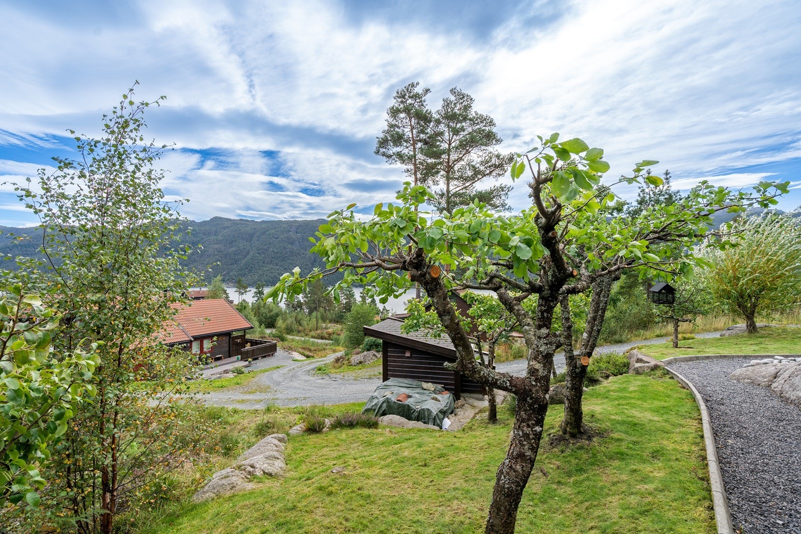 Pent opparbeidet eiendom med frukttrær og andre prysbusker og trær Galleribilde