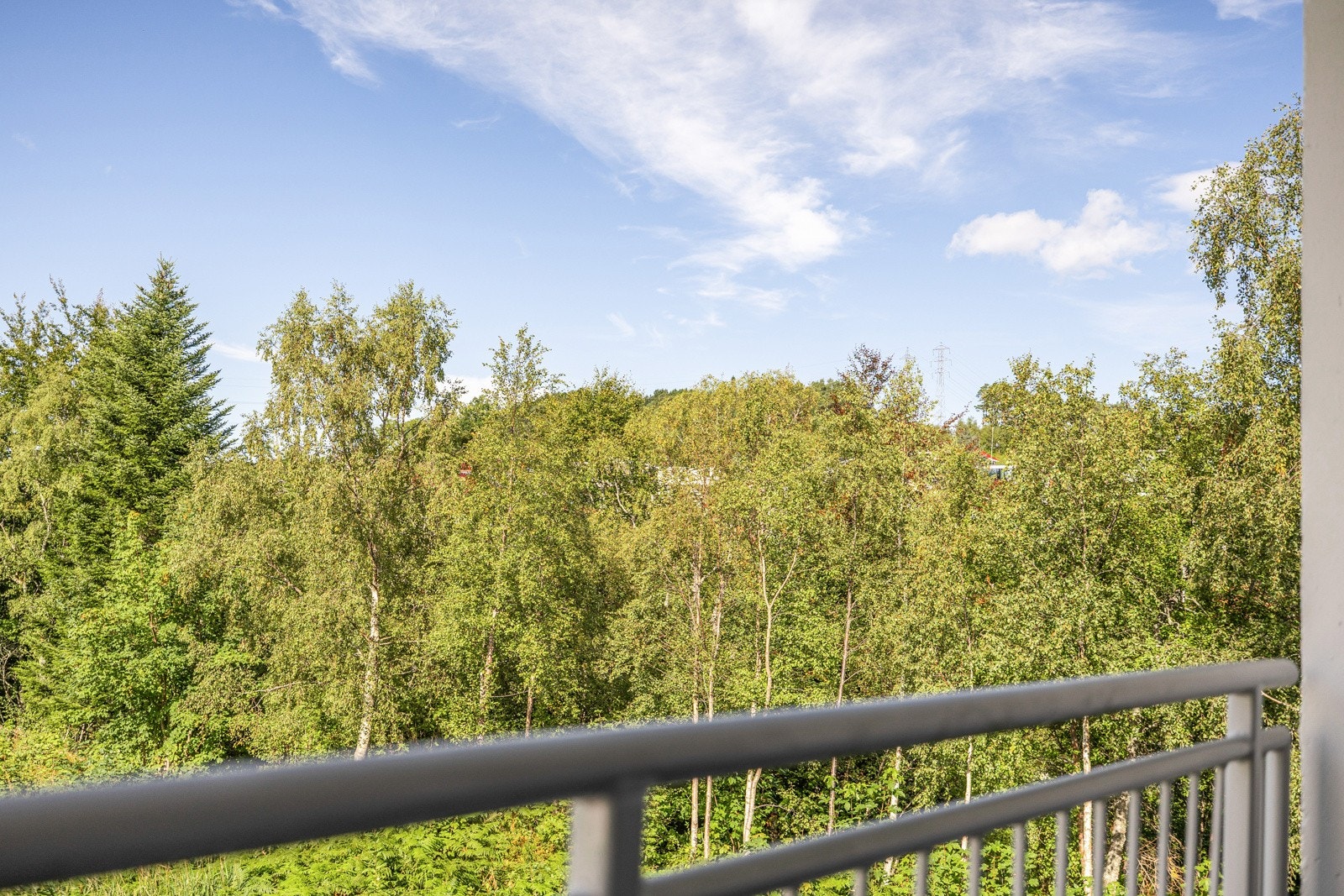 Lite innsyn og fri følelse. Galleribilde