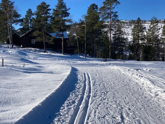 Tur-ski løyper utenfor hyttevegg Galleribilde