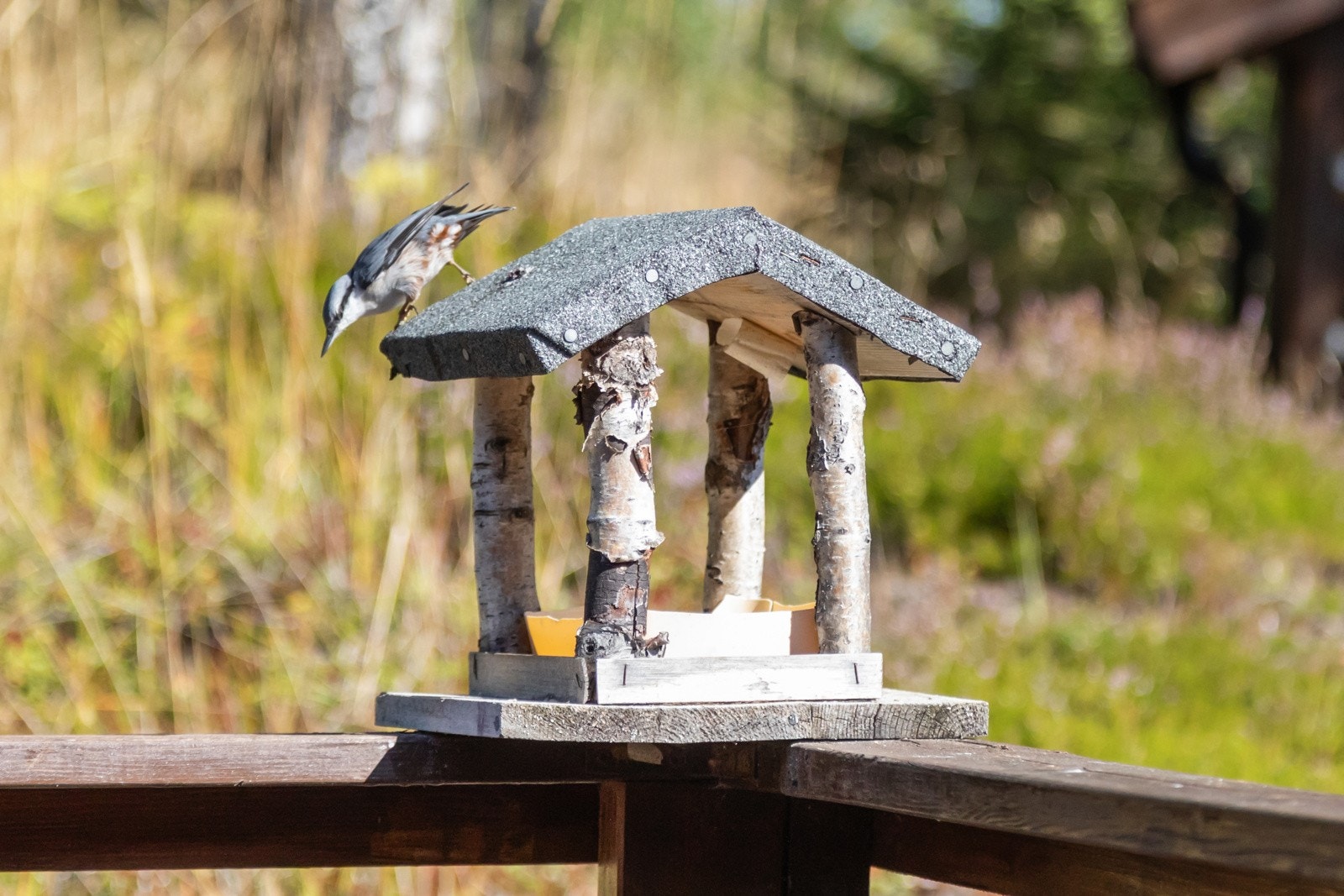 Detaljbilde. Galleribilde