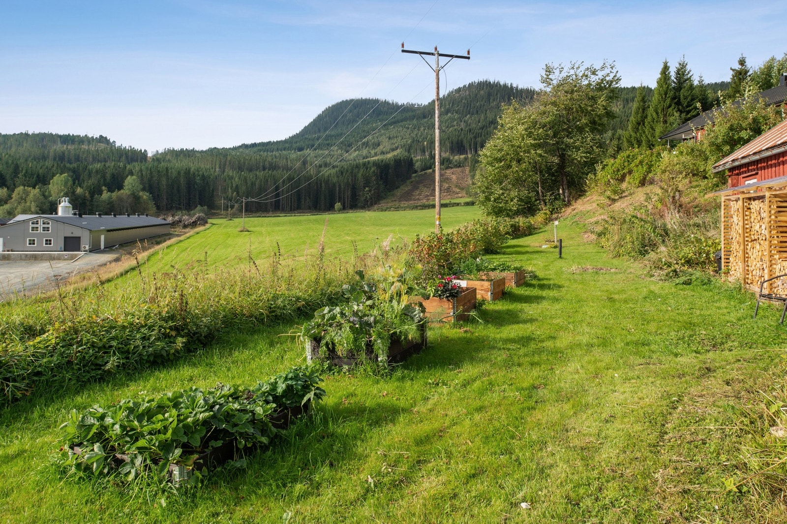 Den romslige tomten gir mange muligheter - enten du vil lage blomsterbed, plante frukttrær eller ha plass til lek og aktiviteter Galleribilde