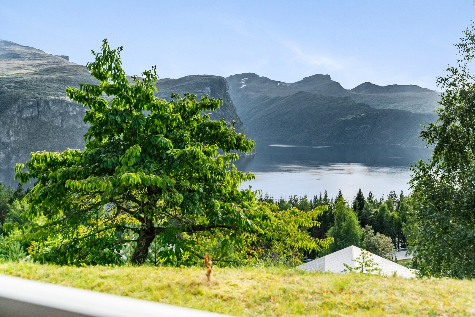 Tomten har bratt skrånende terreng mot syd. Galleribilde