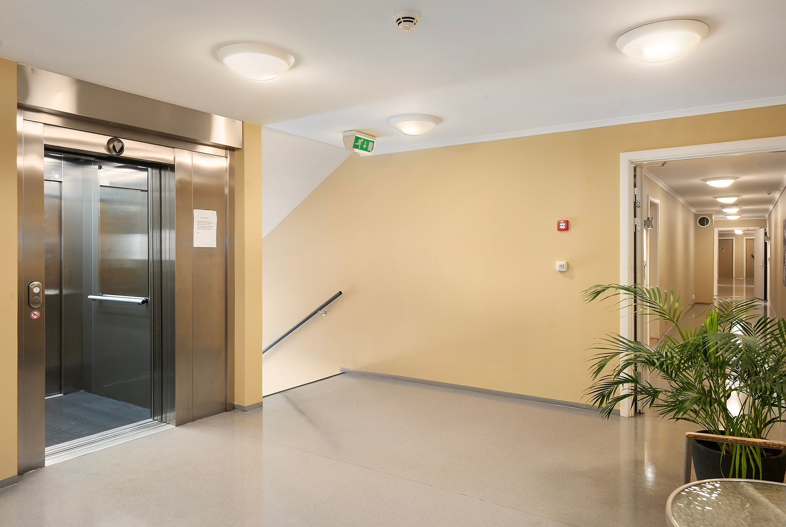 Heis nesten til døren Galleribilde