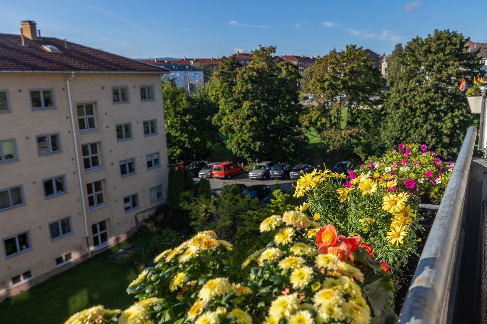 Over hustakene kan man skimte Holmenkollåsen og Tryvannstårnet. Galleribilde