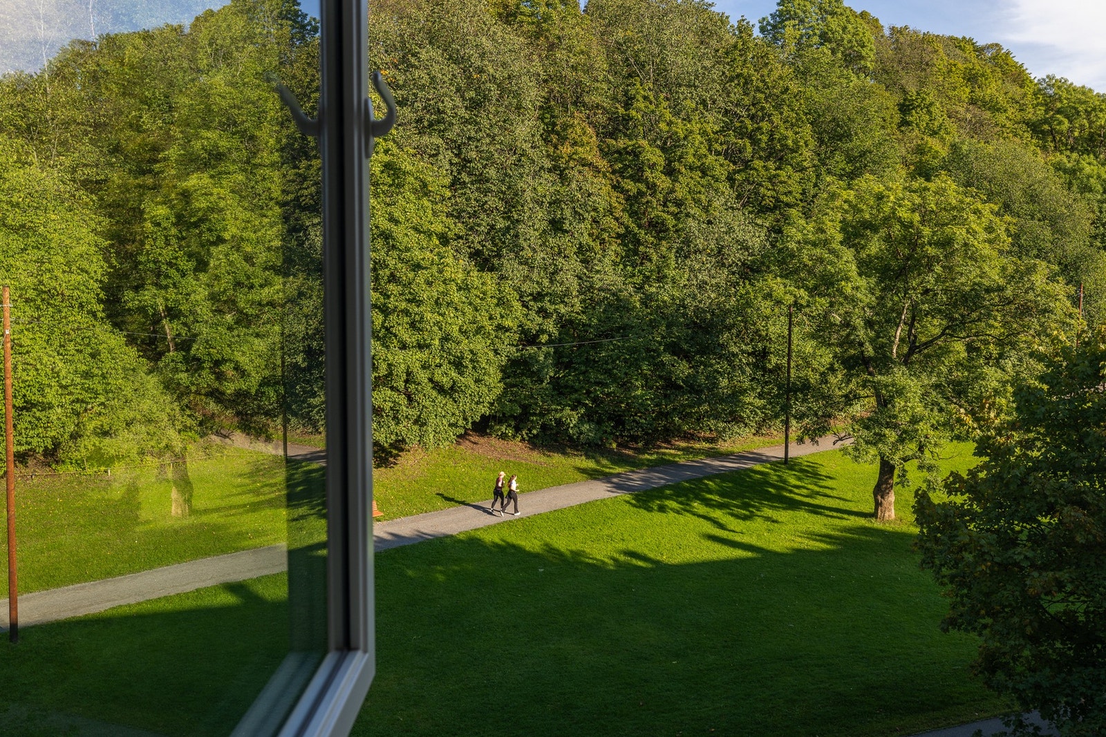 Det er ikke alle steder i byen du kan våkne til fuglekvitter på morgenkvisten! Galleribilde