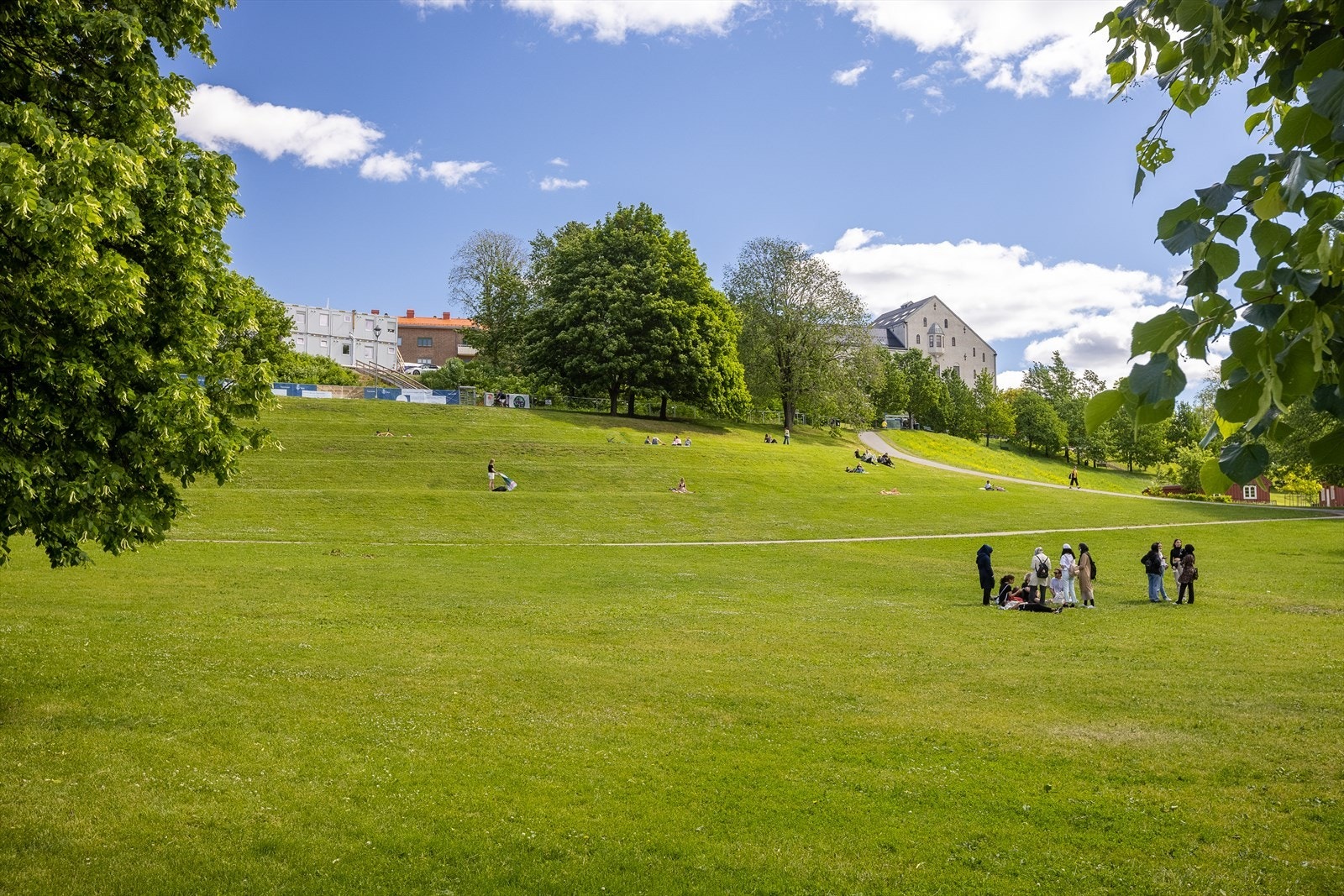 Tøyenparken er også i umiddelbar nærhet med frodige grøntarealer og fine turområdet. Galleribilde