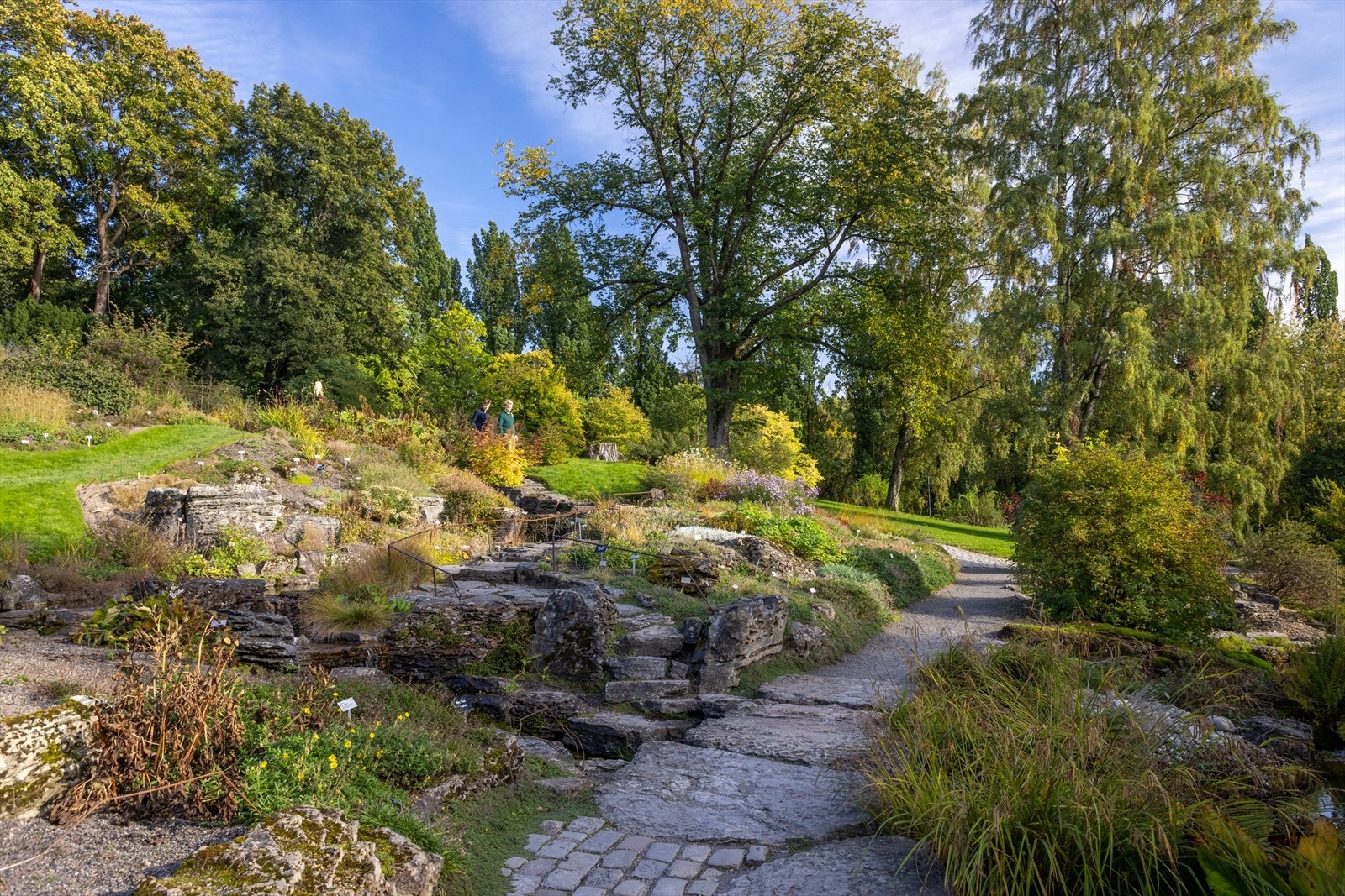 Botanisk hage. Galleribilde
