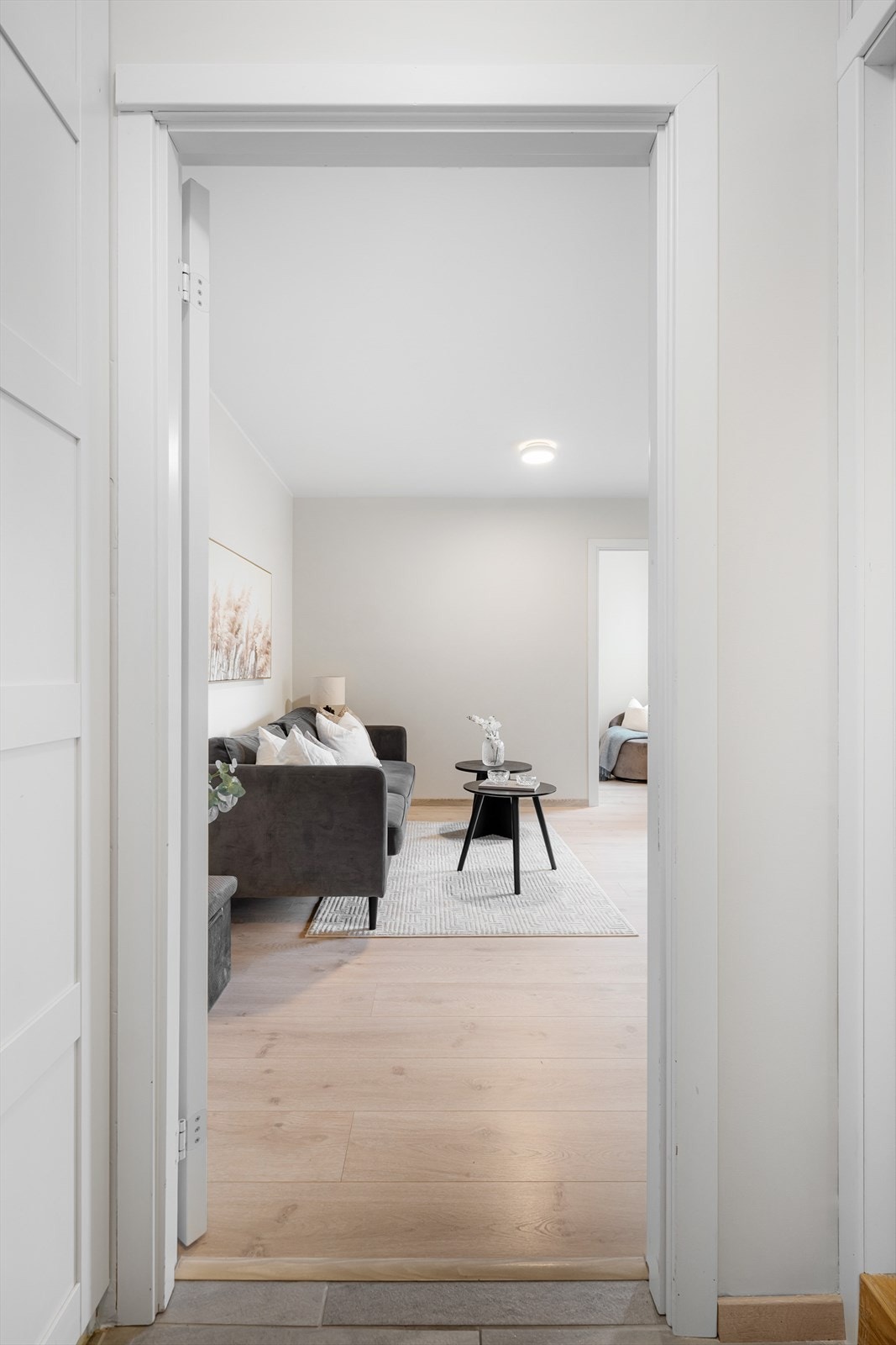 Innbydende entré som åpner opp mot leilighetens sosiale sone. Galleribilde