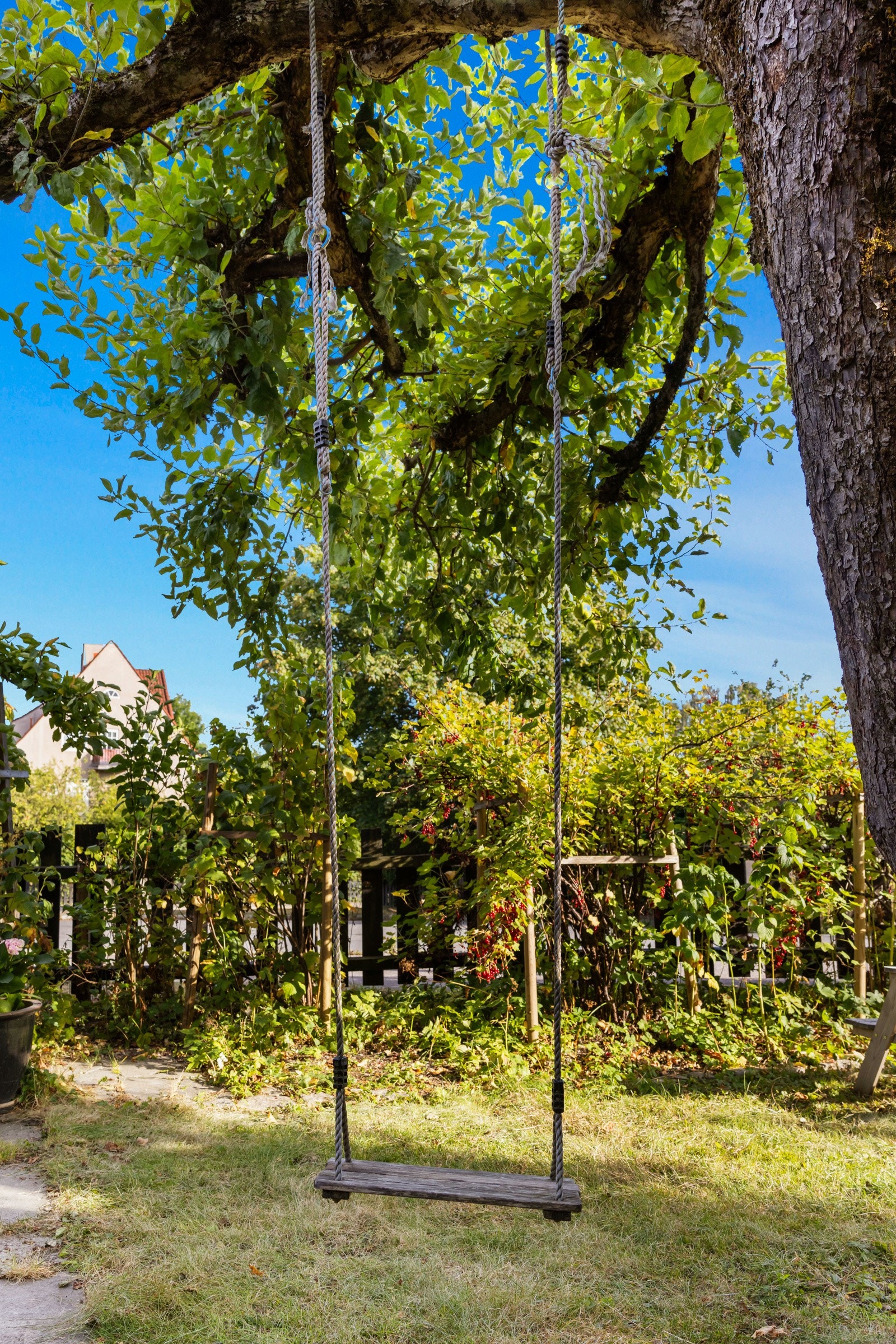 Hagebilde, detalj Galleribilde