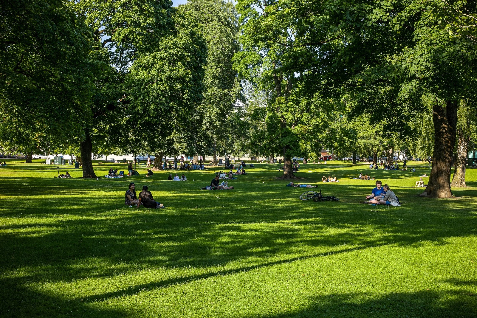 Idylliske Sofienbergsparken ligger et steinkast unna. Galleribilde