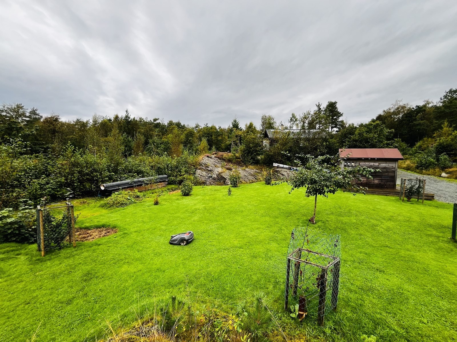 Frukttrærne kan medfølge i salget, med et tillegg i prisen. Galleribilde