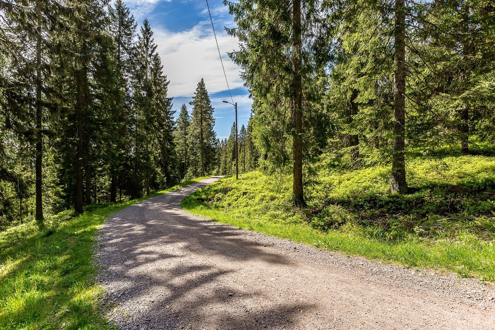 I Selvbyggerveien er du kun et par minutter unna Lillomarka med sitt fantastiske utvalg av gode tur- og preparerte skiløyper/lysløyper Galleribilde
