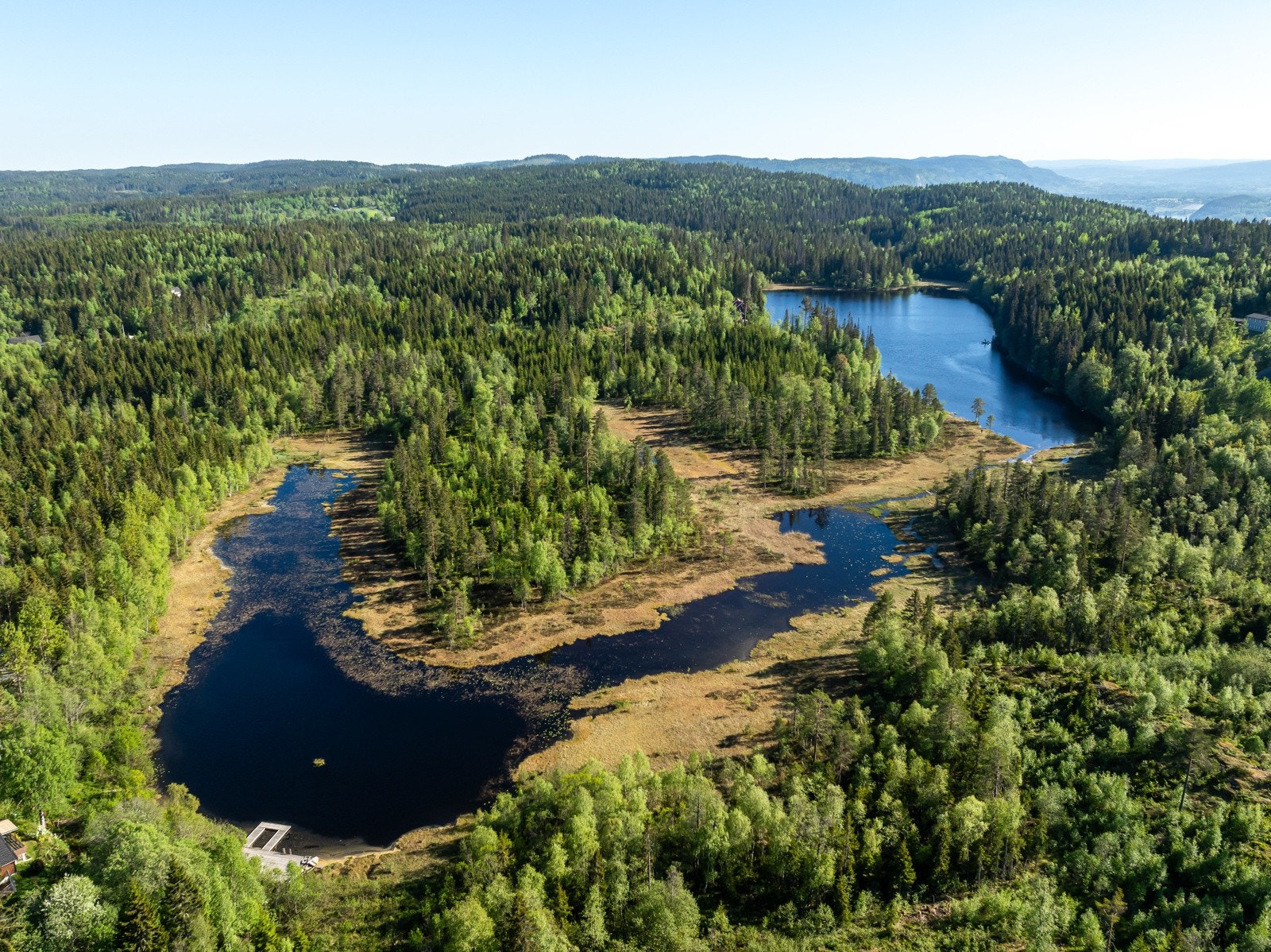 Fine omgivelser i nærområdet. Galleribilde