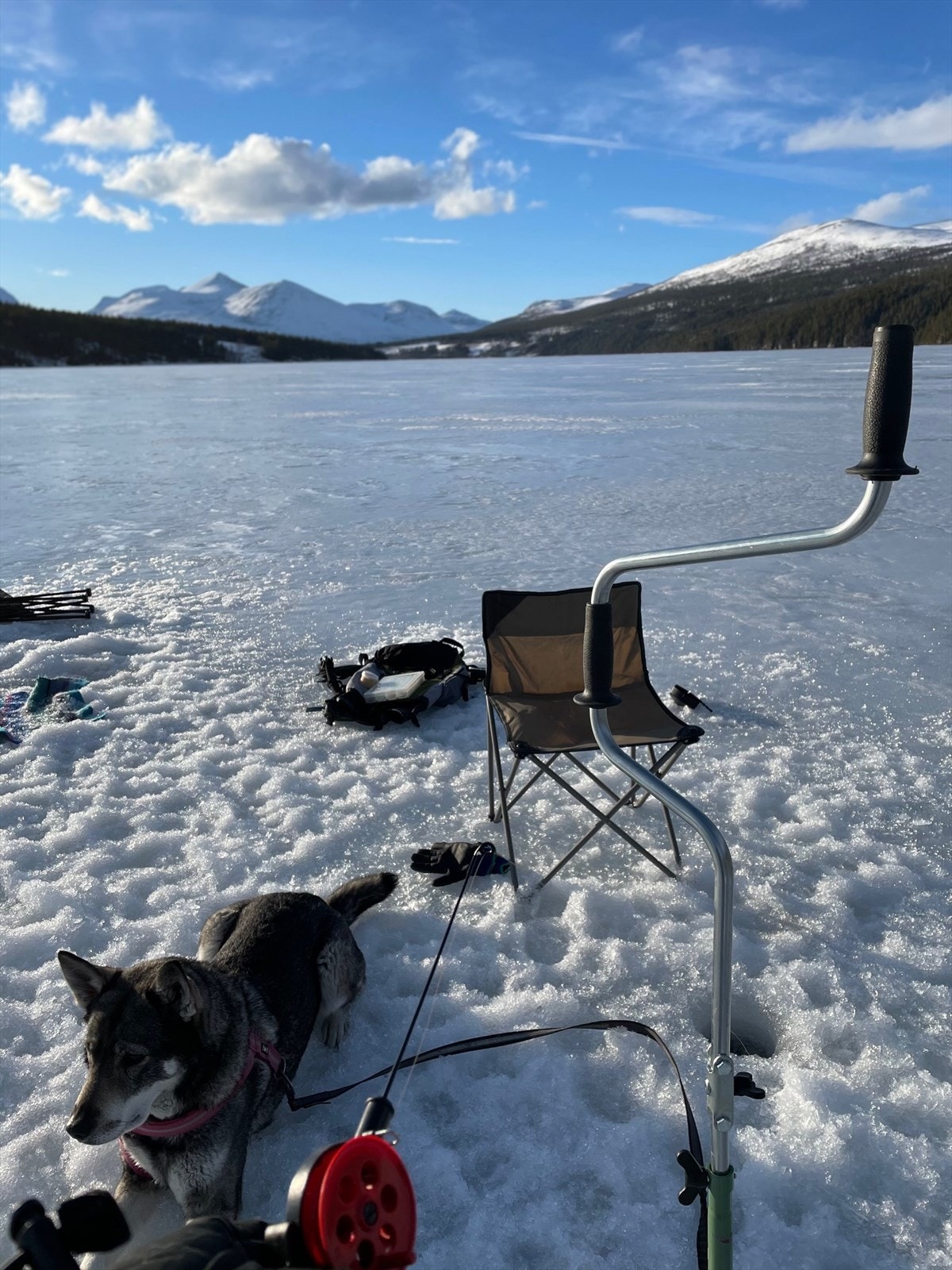 Isfiske. Galleribilde