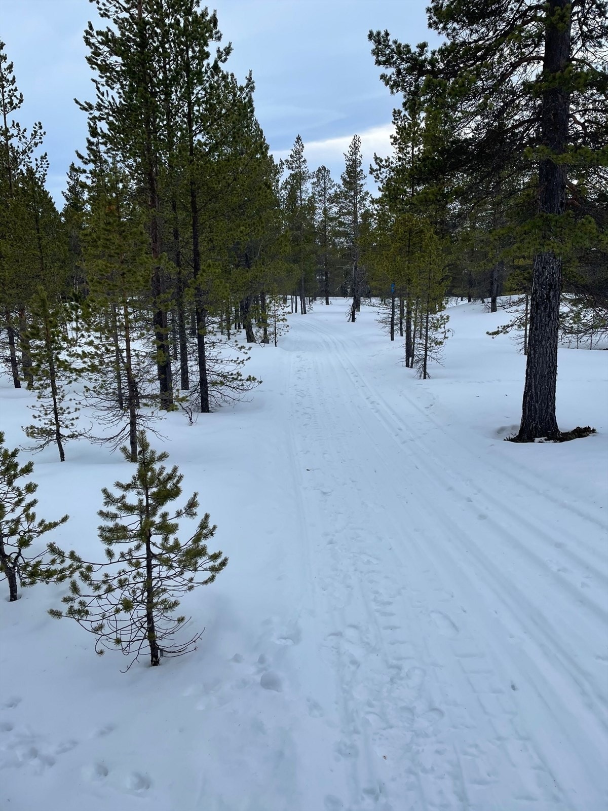 Skispor ved Atnasjø kafe. Galleribilde