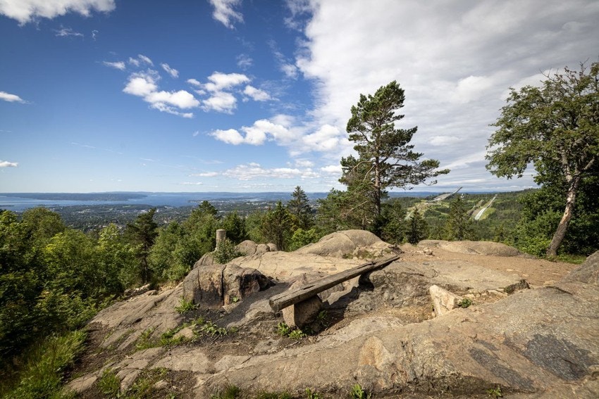 Vettakolltoppen - en av Oslos vakreste utsiktspunkter, ligger kun en hyggelig morgentur fra Stjerneveien. Galleribilde