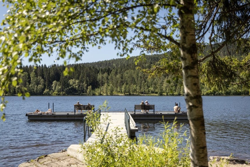 Sognsvann Galleribilde