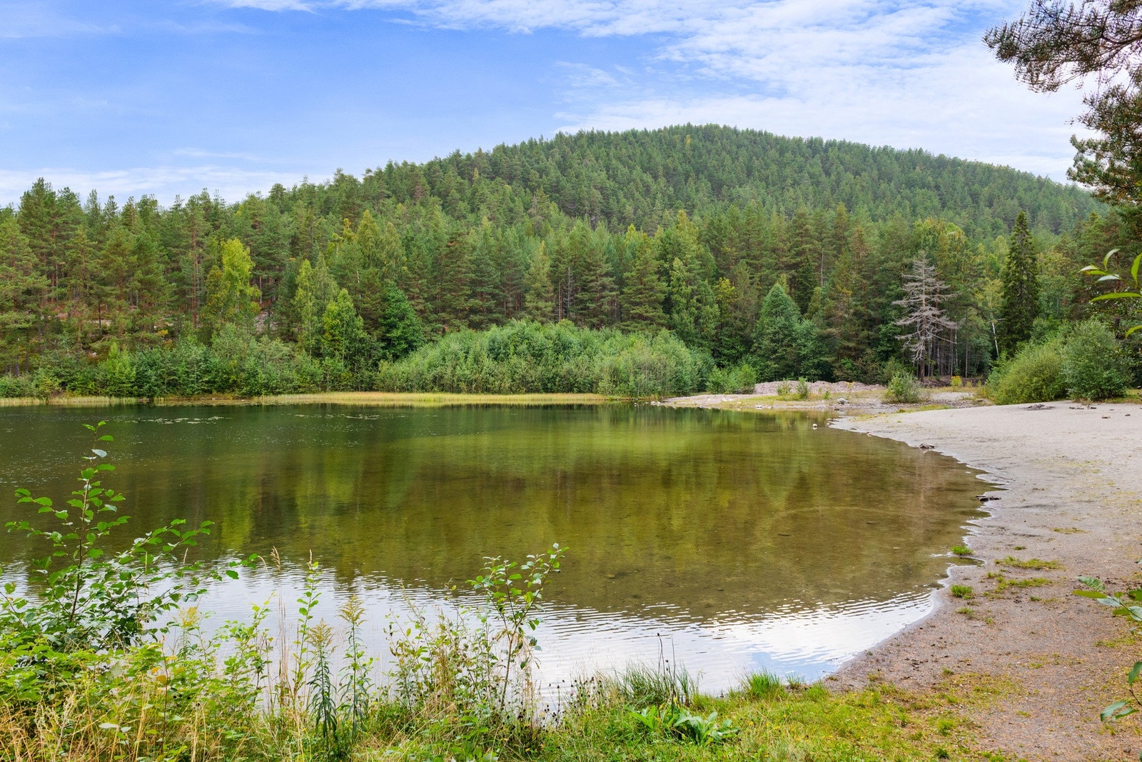 Her finner man også populære Årbogen med badestrand, sandvolleyballbane og lysløyper, som gir gode turmuligheter hele året. Galleribilde