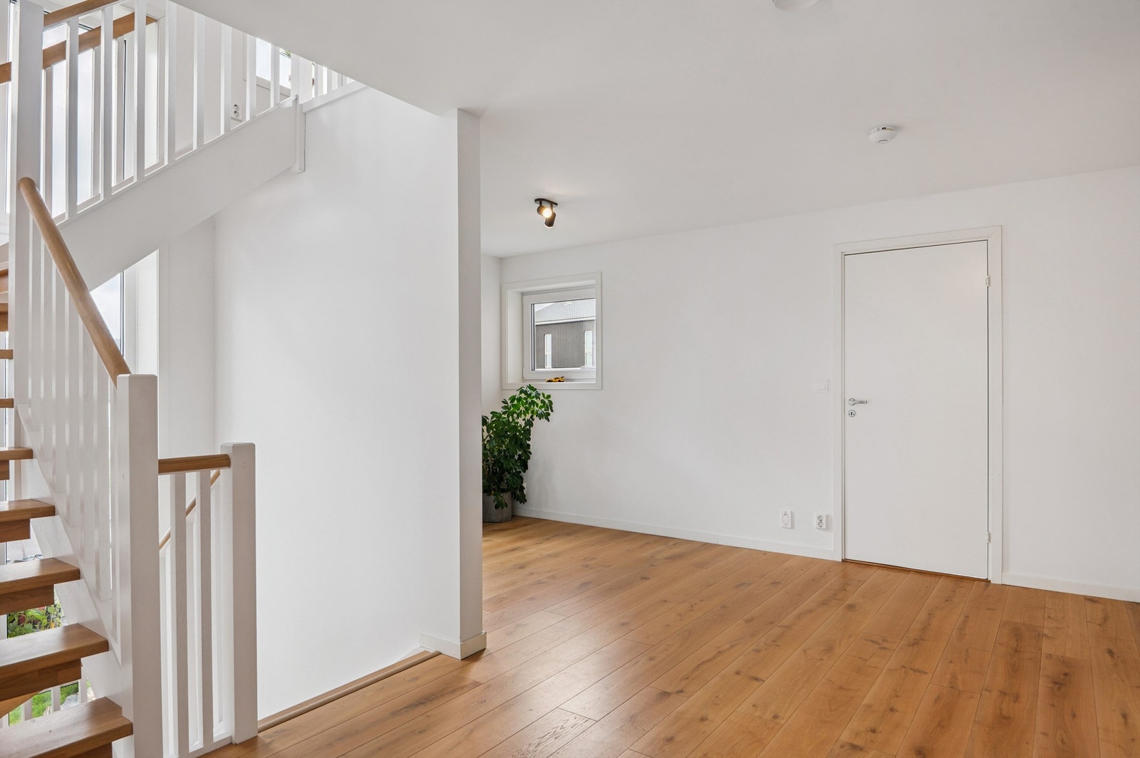 Tv-stue/oppholdsrom Galleribilde