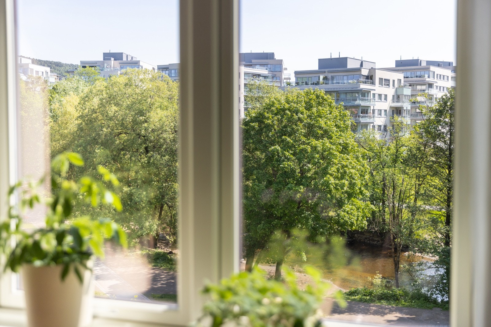 Nydelig og grønt utsyn fra spisebordet. Galleribilde