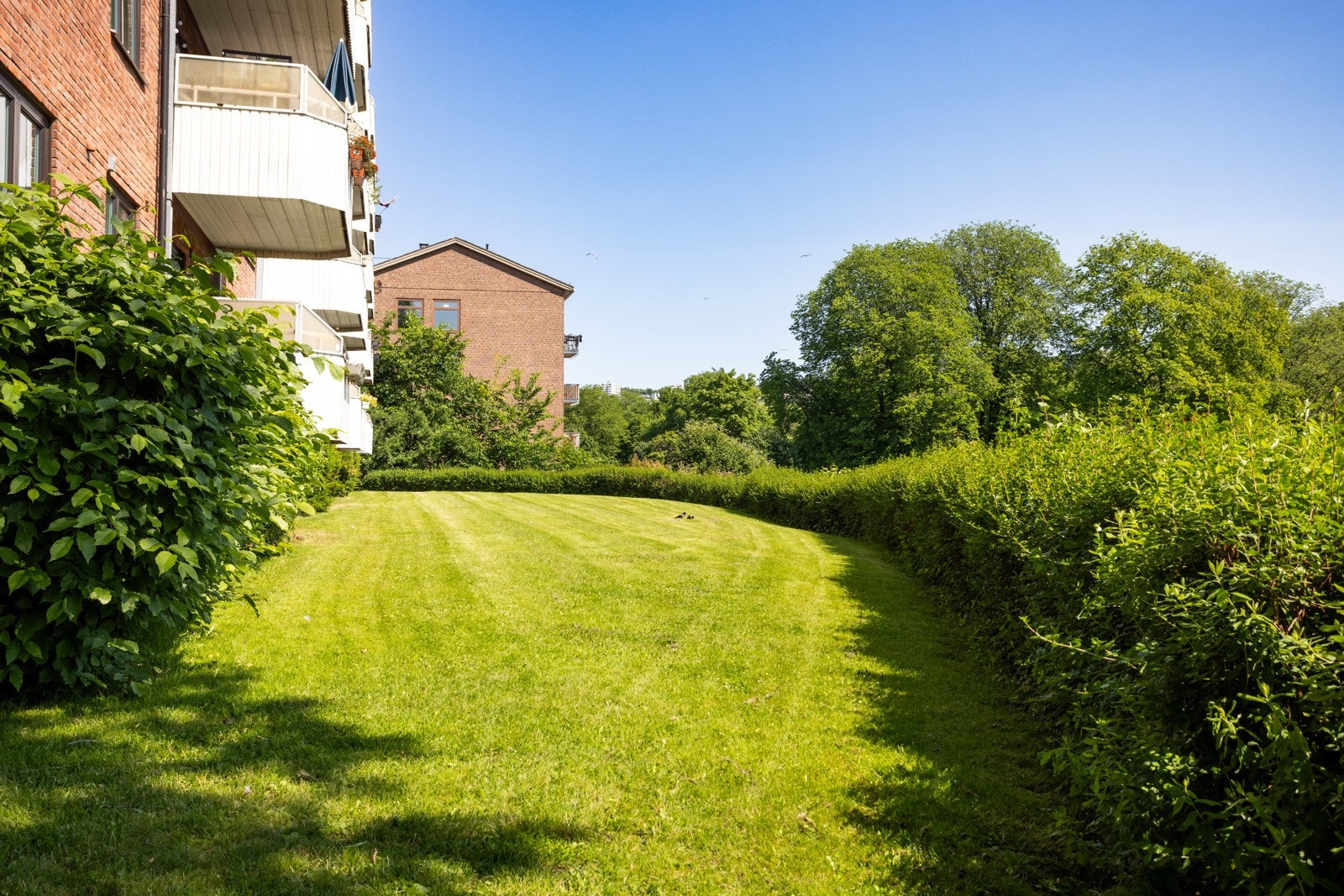 Her får du flotte fellesarealer. Galleribilde