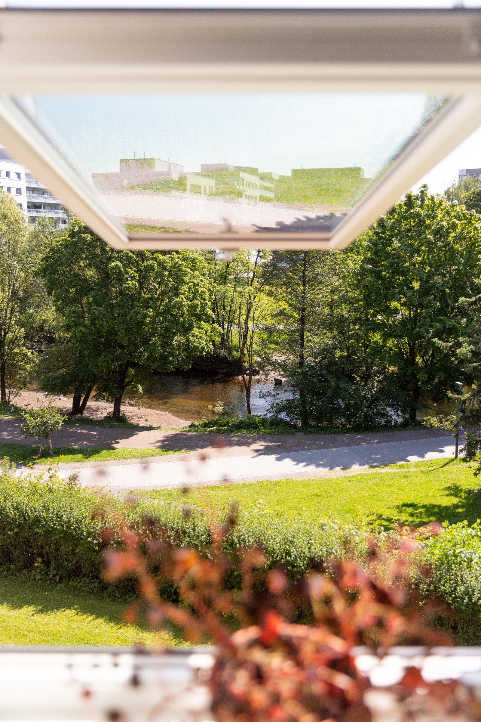 Fra vinduet har du flott utsyn! Galleribilde