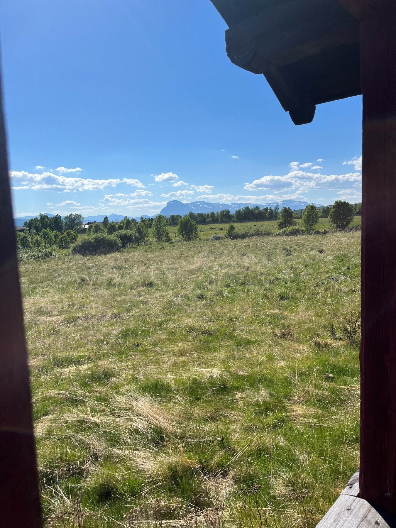 Utsikt til Skogshorn fra døren på Stølen - selgers bilde Galleribilde