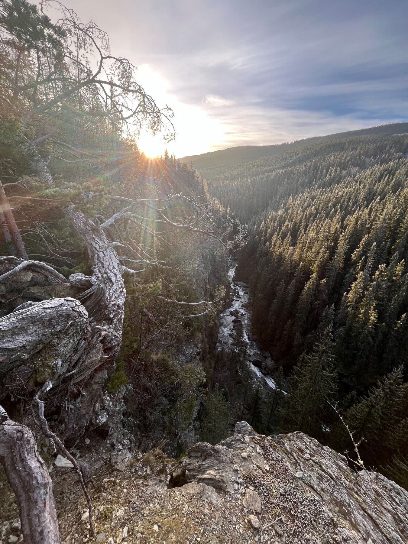 Spennende turområder fra boligen også - selgers bilde Galleribilde