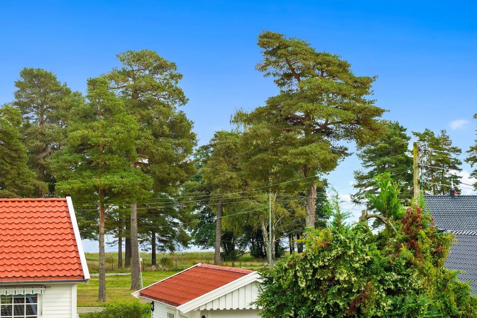 new-00005.jpg Galleribilde