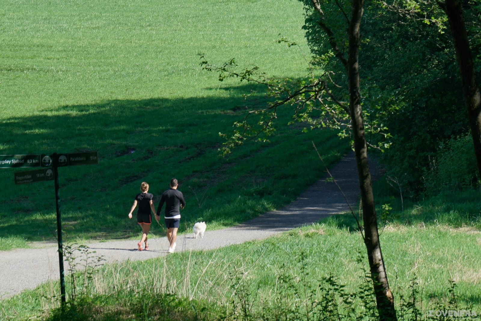 Landlige Bygdøy er utmerket for hverdagslige løpeturer. Galleribilde
