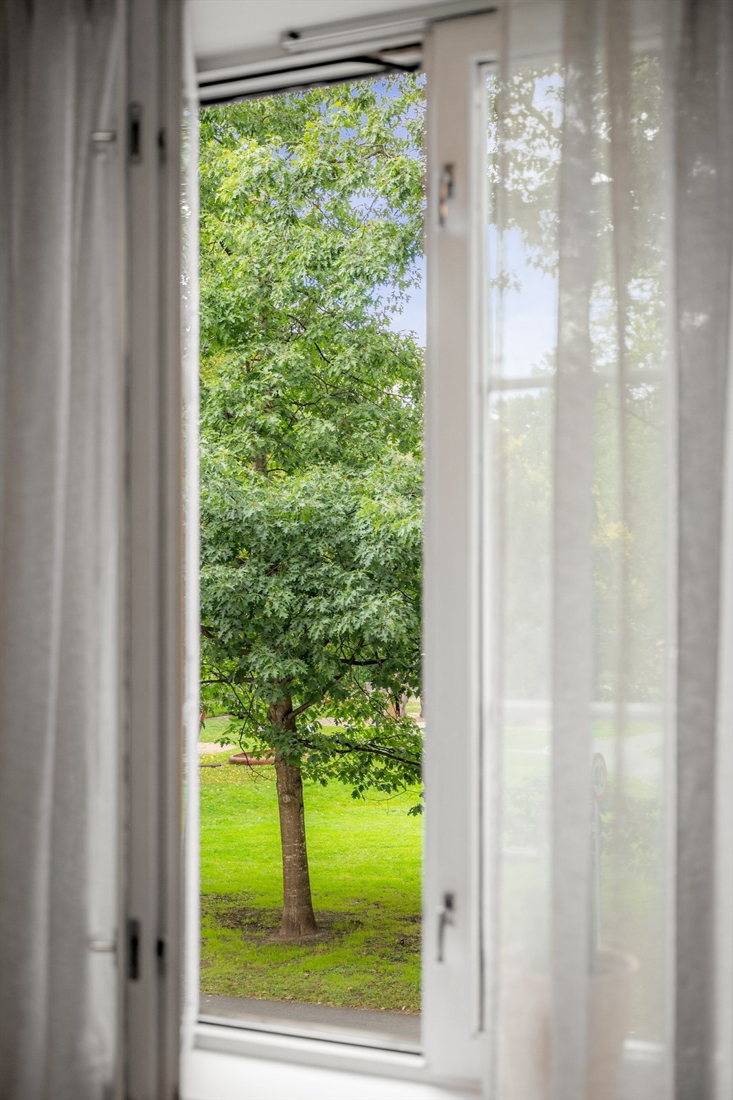 Du kan våkne opp til fuglekvitter og den hyggelige utsikten til Botanisk hage rett utenfor. Galleribilde