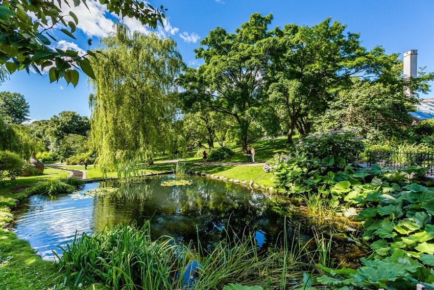Av frodige parkområder i nærheten anbefales Botanisk hage som er nærmeste nabo. En idyllisk park med et rikt planteliv som også er en del av Naturhistorisk, Zoologisk og Geologisk museum. Galleribilde