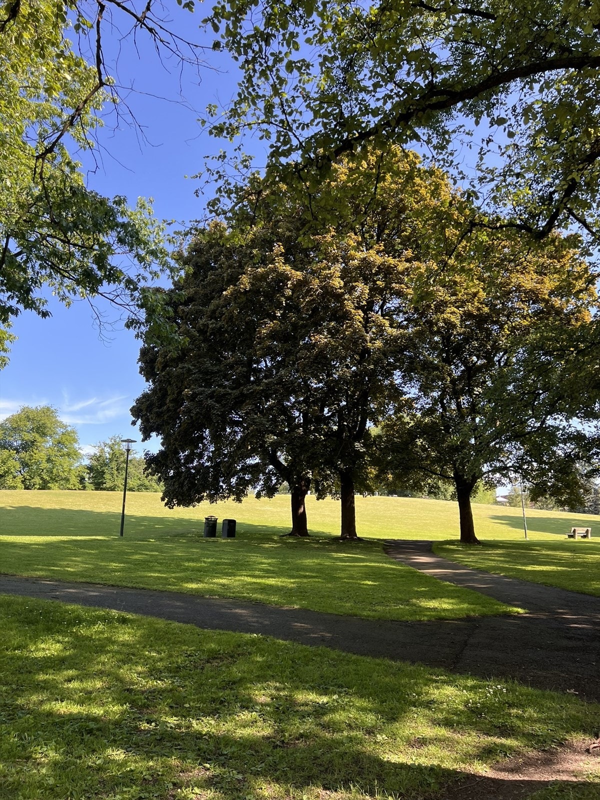 Torshovparken Galleribilde