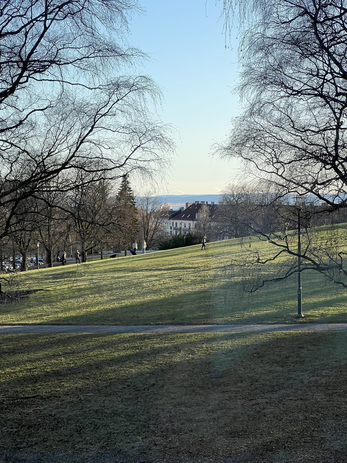 Utsikt fra leiligheten Galleribilde