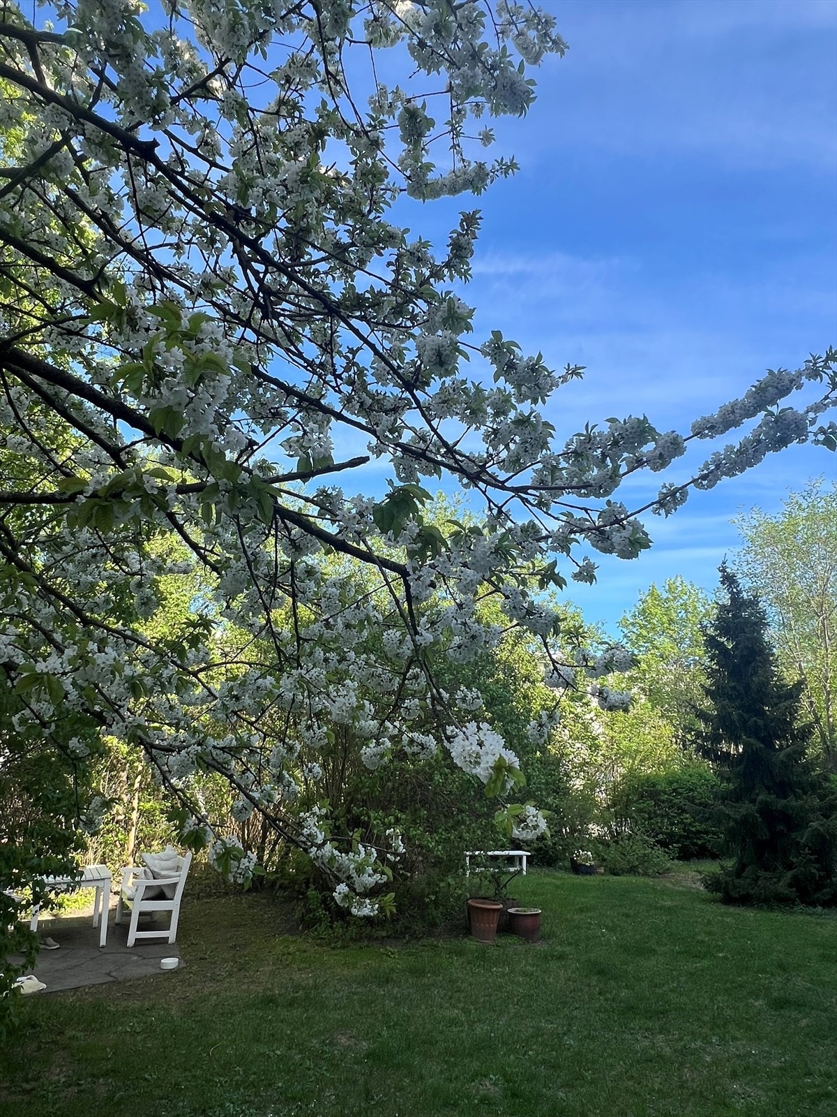 Bakgård Galleribilde