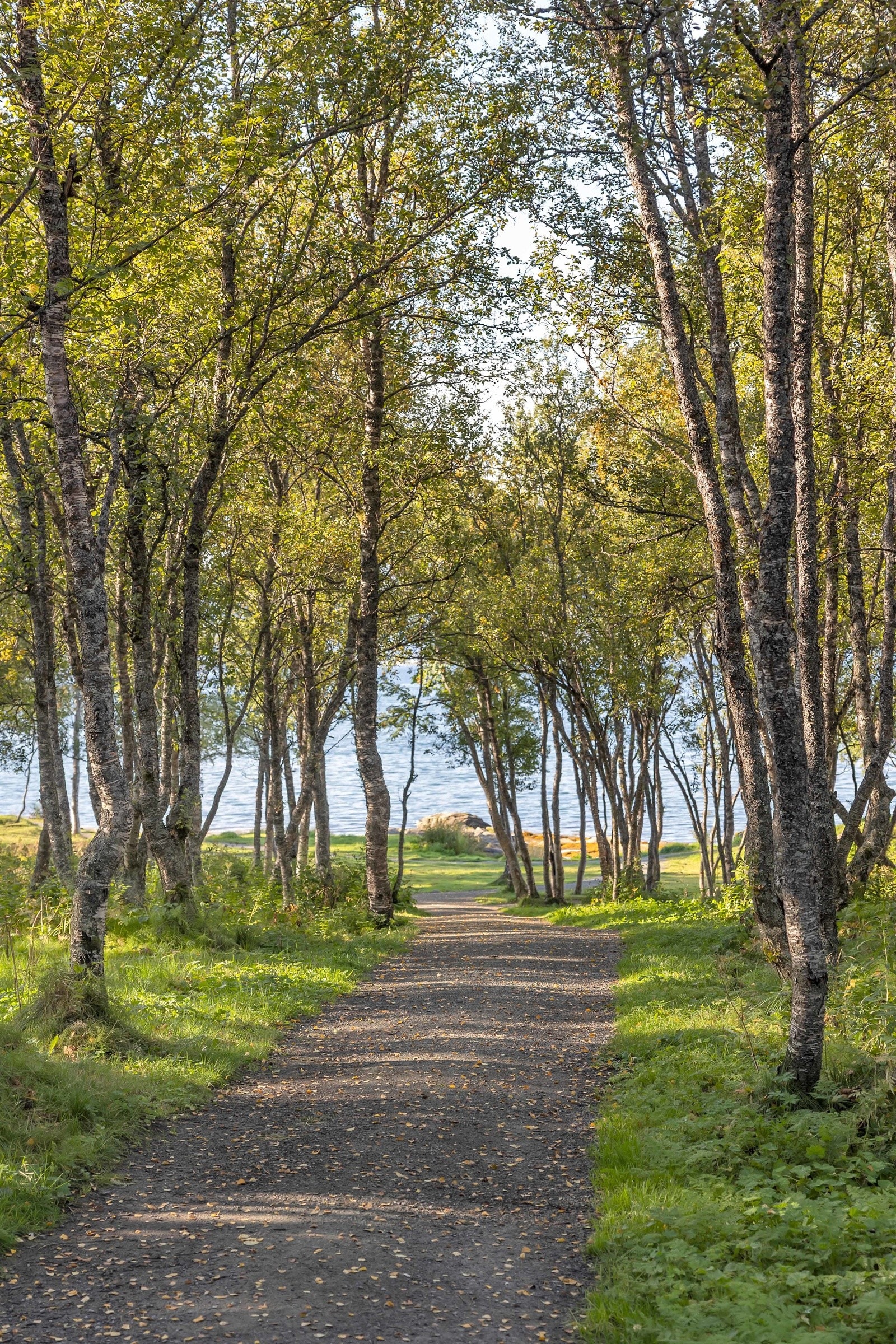 Den umiddelbare nærheten til Telegrafbukta må absolutt trekkes frem Galleribilde