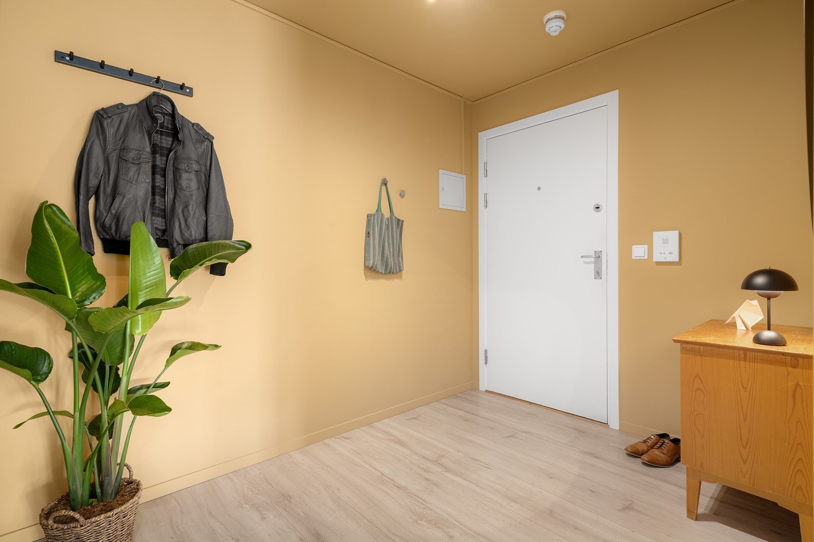 En trygg velkomst med brann- og lydklassifisert inngangsdør i en oppusset korridor. Galleribilde