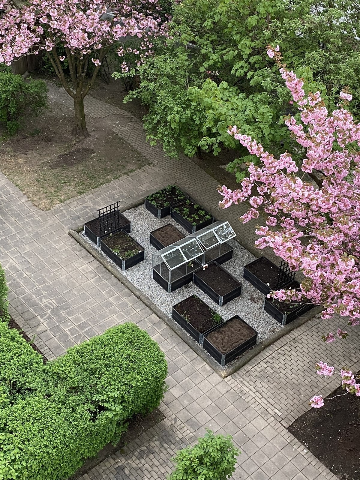 Trivelig og pent opparbeidet bakgård med sittegrupper og muligheter for urban dyrking. (Selgers eget bilde) Galleribilde