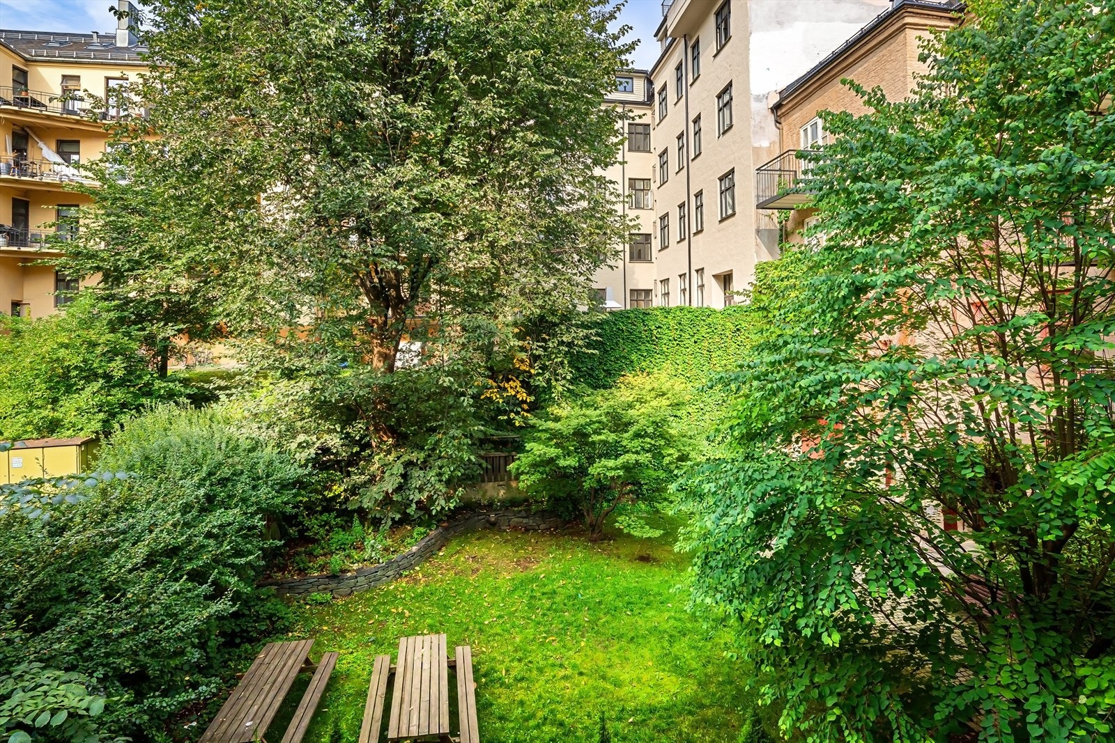 Her kan du nyte gode solforhold og en rolig atmosfære med frodig utsyn. Galleribilde