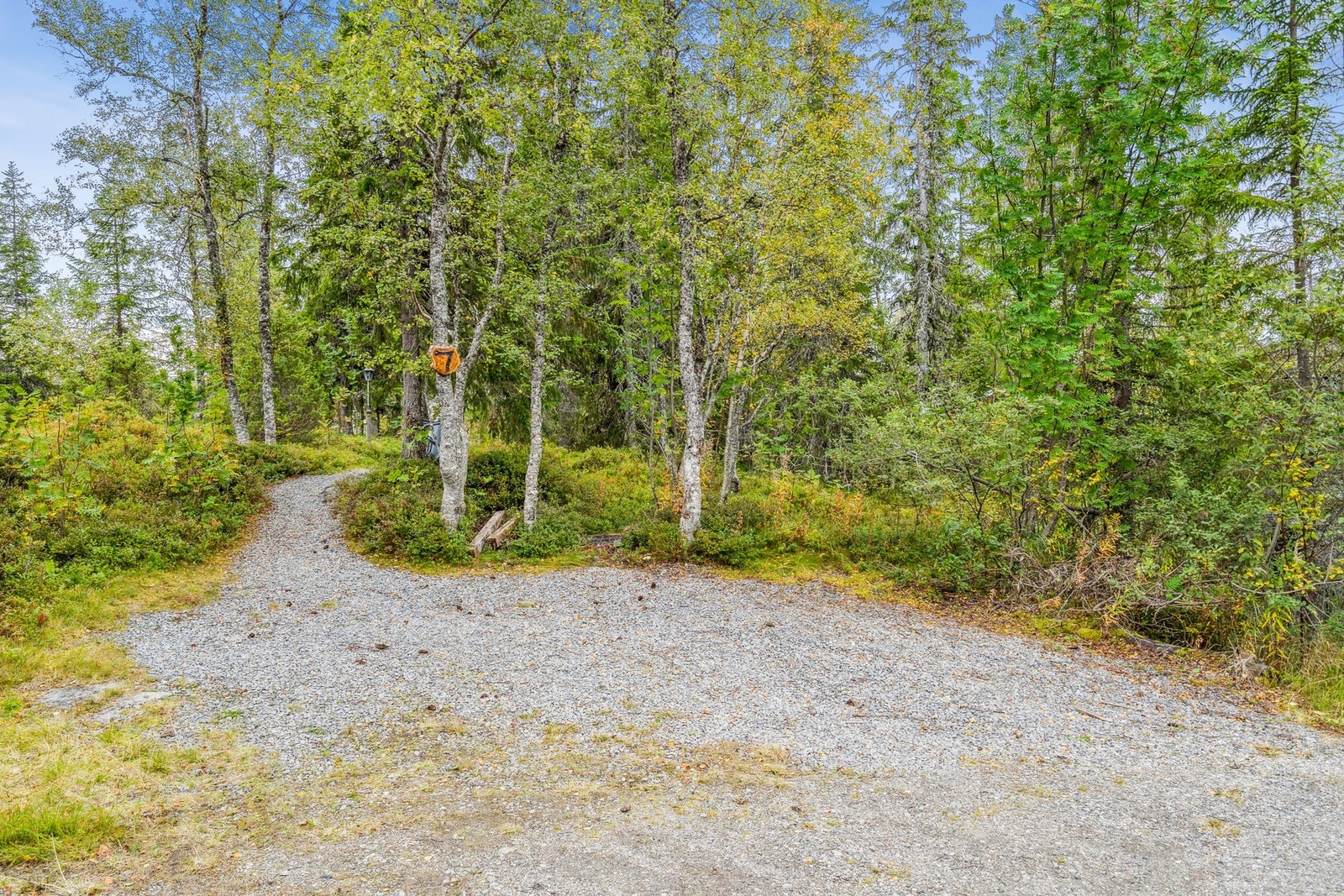 Parkering Galleribilde