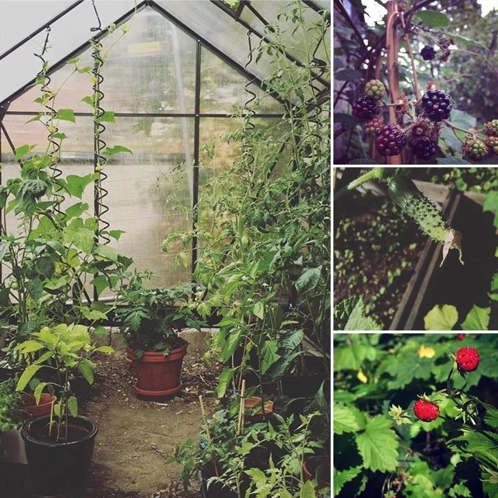 Borettslaget har et pent opparbeidet fellesareal hvor de blant annet har eget drivhus. Galleribilde